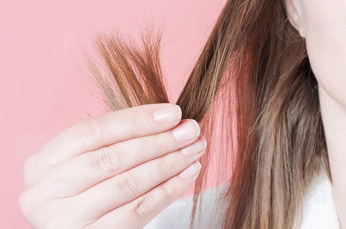 Bahaya Mencatok Rambut Basah yang Jarang Disadari, Rambutmu Bisa Rusak Total!