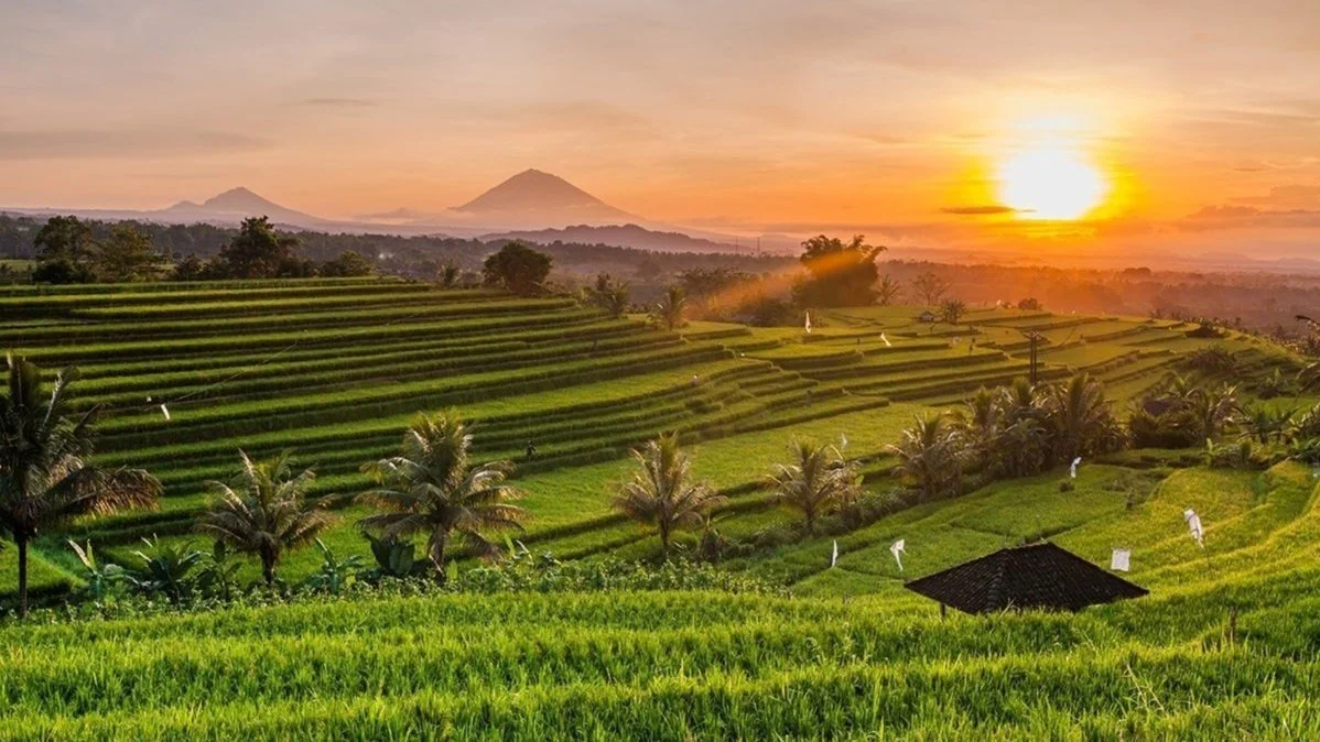 Evolusi Wellness dan Gaya Hidup Aktif di Bali